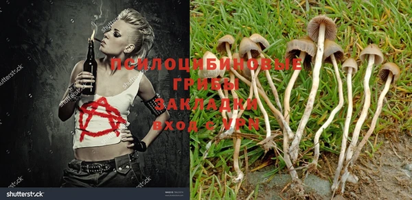 ALPHA-PVP Белокуриха